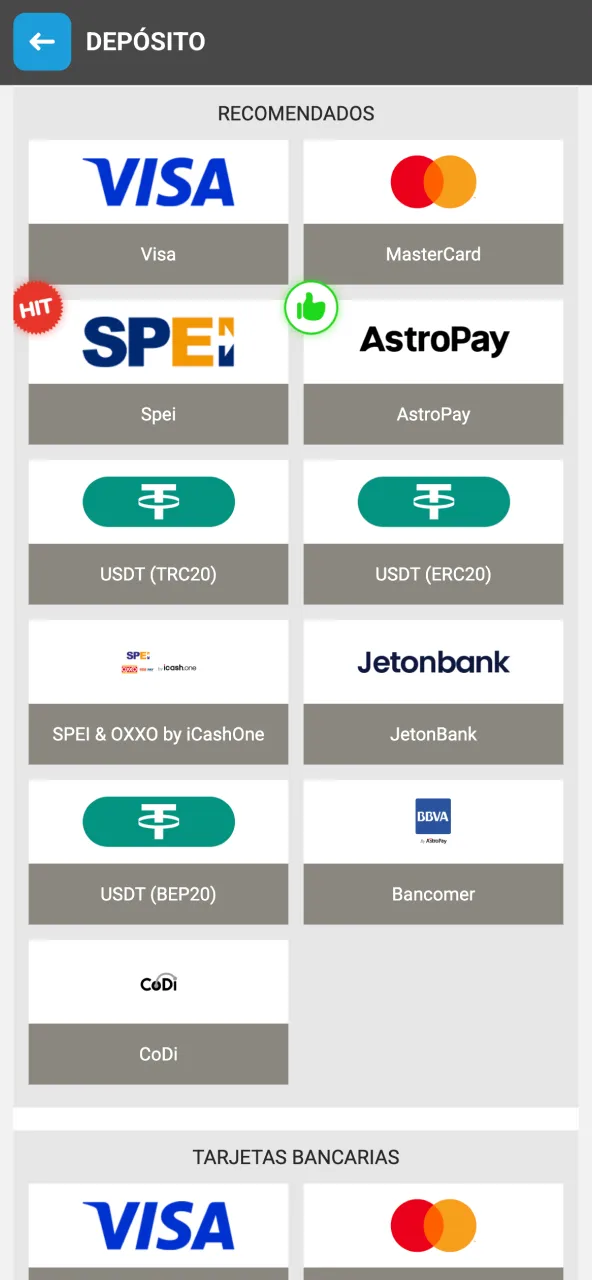 Escoge tu sistema preferido en Megapari para depósitos.